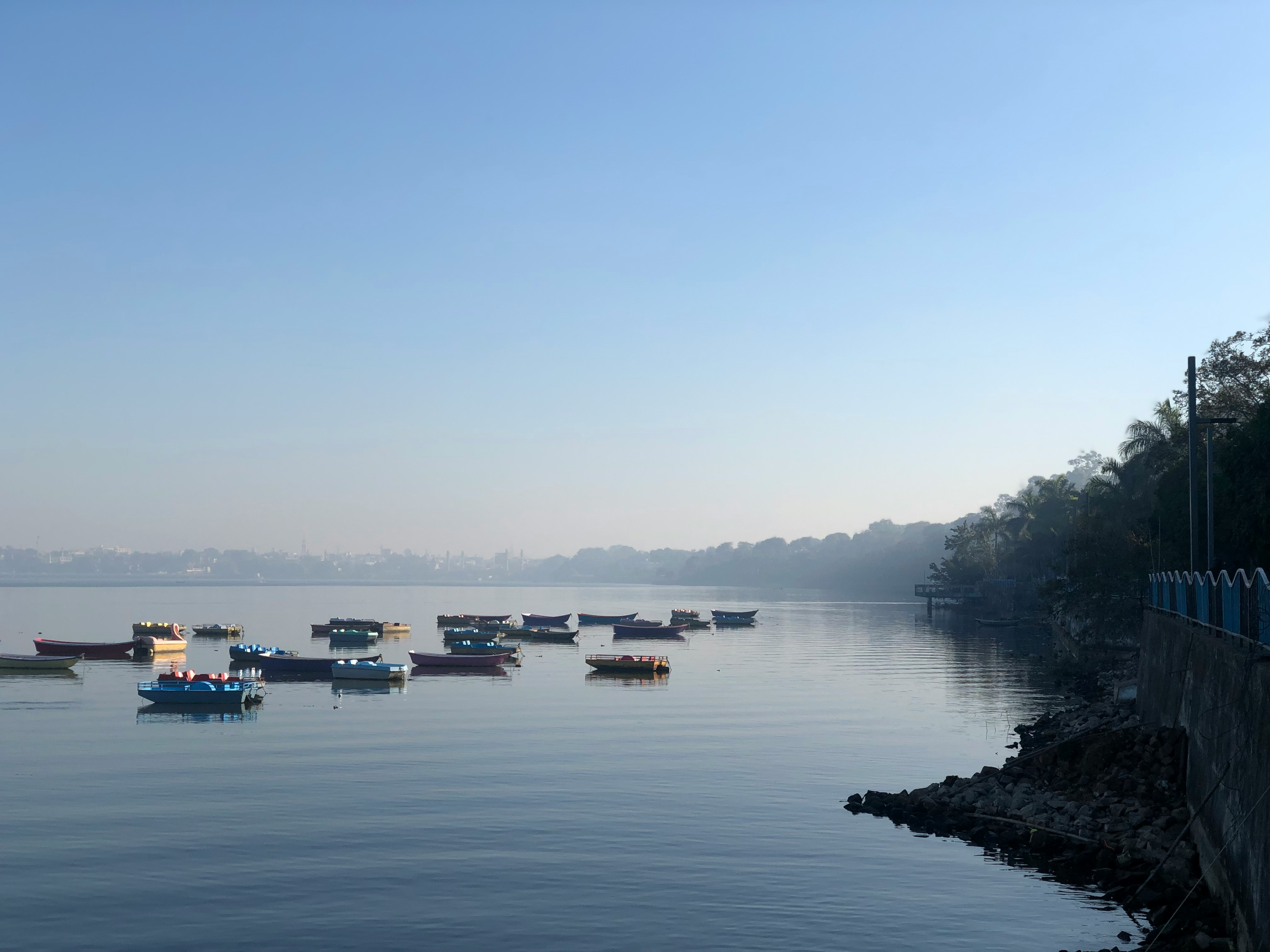 Group of Boats on Lake